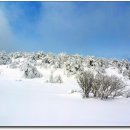 목-금-토 제주 한라산과 올레길 이미지