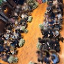 국수나무목동 - 양천구 목동서로 377 | 목동 웨딩홀 | 로프트가든344 - 웨딩홀 솔직 하객 후기