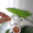 강아지 진드기 퇴치제 클립, 스프레이 추천 래핑찰리 봄 산책 필수템