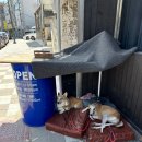 몬도블루 이미지