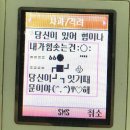 3월이 시작 되었습미당 이미지