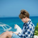 썸 이미지