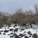 서경렌트카 | [제주] 겨울 여행 제주 2일차(1100고지습지,옹포별장가든,낙화 축제 플로웨이브)