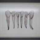 오케이치과의원 이미지