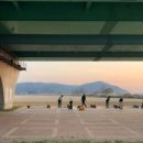 백마강생활체육공원 축구장 이미지