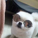 깡지맘쌀롱 이미지