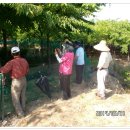 안곡농장2 이미지