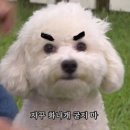 맛드림 - 금천구 독산로85길 16 | 맛드림