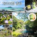 여고초등학교 | 2박 3일 제주 여행 총평 - 여행은 정말 좋은 거구나 (잡담)