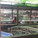 명수타운 이미지