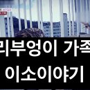 둥지농장 | 동물농장 수리부엉이 이소 순간 포착! 야생의 위대한 첫걸음에 감동