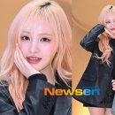 리즈 이미지
