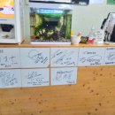 요망진밥상 이미지