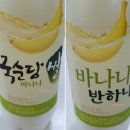 술이땡기는밤