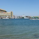 강구바다 이미지