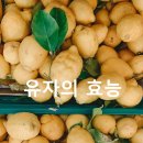 유자도
