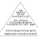 항암 서플리먼트의 올바른 선택 방법, 사용법 이미지