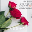 서울굿모닝내과의원 - 군포시 산본천로 222 | 서울굿모닝내과의원