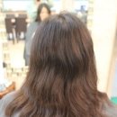 비오헤어 이미지