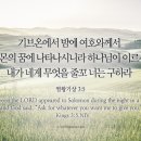 솔로몬1 이미지