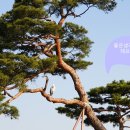 상인평광 | [시공 후기] 상인평광맨션, 삼성 SHP-P51