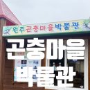 원주곤충마을박물관 | [강원 원주] 소금산 근처 "원주 곤충마을 박물관" 가성비 좋은 체험 가능한 곳! 추천 내 돈 내산