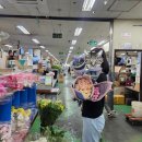 꽃봉우리 | 강남 고속버스터미널 꽃시장 쥬리원예 대형 꽃다발 후기 🌹