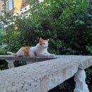 능동 주민센터 이미지