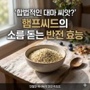 씨드샐러드(SEED SALAD) | 햄프씨드 효능 부작용 먹는법 한 번에 정리, 슈퍼푸드 맞나요?
