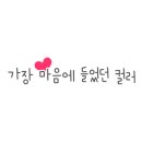 카페플라이우드