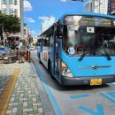 동진버스(주) 네이버블로그