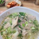 제주도 가족여행 기록 (feat.이 집 물이 제일맛있다 금지)