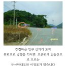 순창/벌동산(461m)~섬진강 예향천리마실길(정기산행추천) 이미지