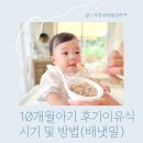 하루세끼 | 10개월아기 하루세끼 후기이유식 시기 및 방법 (feat.배냇밀)