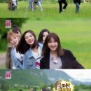 붕붕카써비스 이미지