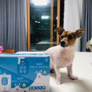 지남목장 이미지