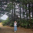 내돈내산 빈티지 디카 후기::포토토 빈티지 디카 디지털 카메라 레트로 소형 미니 Y2K선물패키지
