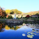 곡성-215 이미지