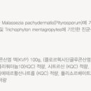 퍼피동물병원 이미지