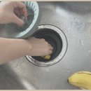 음식물분쇄기