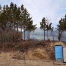 큰바위공인중개사사무소 이미지