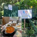 행복한커피 - 서구 도산로 345 | 제주 서귀포 현지인 맛집 행복한시저네 흑돼지 짜글이 후기