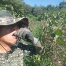 강소농장 이미지