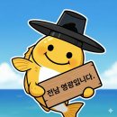 안성 349 태양광발전소 | (20260404) 최지선 봄소풍 - 전남 영광