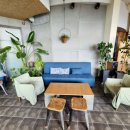 코우코알라 이미지