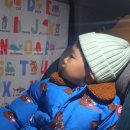 햇빛 | 아기 차량용 햇빛가리개 추천 | 모망 햇빛가리개 사용후기