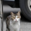 곰달래로49길 네이버블로그