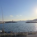 관성솔밭해변 이미지