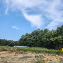 임곡동주민센터 | 파크골프를 하고싶어서 다녀온 이천 파크골프장