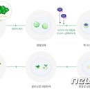 지플러스뉴스